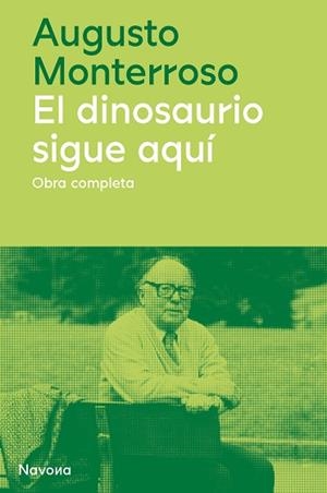 EL DINOSAURIO SIGUE AQUÍ | 9788419311177 | MONTERROSO, AUGUSTO | Galatea Llibres | Llibreria online de Reus, Tarragona | Comprar llibres en català i castellà online