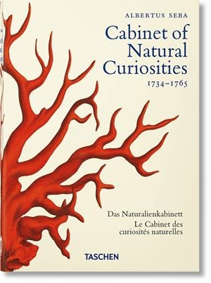 SEBA. CABINET OF NATURAL CURIOSITIES. 40TH ED. | 9783836587884 | MÜSCH, IRMGARD/RUST, JES/WILLMANN, RAINER | Galatea Llibres | Llibreria online de Reus, Tarragona | Comprar llibres en català i castellà online