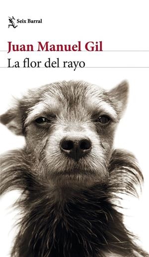 LA FLOR DEL RAYO | 9788432241574 | GIL, JUAN MANUEL | Galatea Llibres | Librería online de Reus, Tarragona | Comprar libros en catalán y castellano online