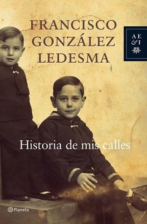 HISTORIA DE MIS CALLES | 9788408065630 | GONZALEZ LEDESMA, FCO. | Galatea Llibres | Librería online de Reus, Tarragona | Comprar libros en catalán y castellano online