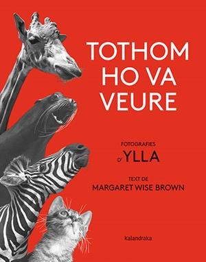 TOTHOM HO VA VEURE | 9788418558580 | BROWN, MARGARET WISE | Galatea Llibres | Librería online de Reus, Tarragona | Comprar libros en catalán y castellano online
