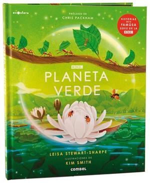 PLANETA VERDE | 9788491019237 | Galatea Llibres | Librería online de Reus, Tarragona | Comprar libros en catalán y castellano online