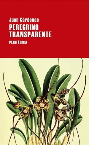 PEREGRINO TRANSPARENTE | 9788418838620 | CÁRDENAS, JUAN | Galatea Llibres | Llibreria online de Reus, Tarragona | Comprar llibres en català i castellà online