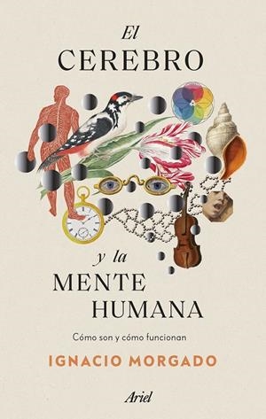 EL CEREBRO Y LA MENTE HUMANA | 9788434435988 | MORGADO, IGNACIO | Galatea Llibres | Llibreria online de Reus, Tarragona | Comprar llibres en català i castellà online