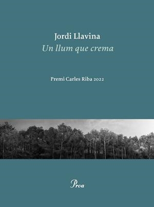 UN LLUM QUE CREMA | 9788475889979 | LLAVINA, JORDI | Galatea Llibres | Llibreria online de Reus, Tarragona | Comprar llibres en català i castellà online