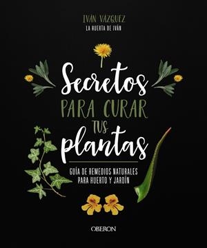 SECRETOS PARA CURAR TUS PLANTAS | 9788441547162 | VÁZQUEZ MUÑOZ, IVÁN | Galatea Llibres | Llibreria online de Reus, Tarragona | Comprar llibres en català i castellà online