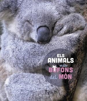 ELS ANIMALS MÉS BUFONS DEL MÓN | 9788419436184 | LEDU, STÉPHANIE | Galatea Llibres | Llibreria online de Reus, Tarragona | Comprar llibres en català i castellà online