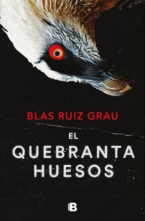 EL QUEBRANTAHUESOS (NICOLAS VALDES 4) | 9788466673600 | RUIZ GRAU, BLAS | Galatea Llibres | Llibreria online de Reus, Tarragona | Comprar llibres en català i castellà online
