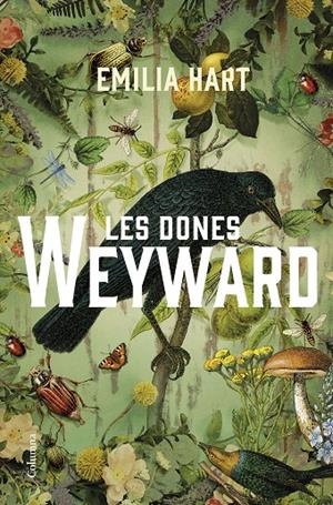 LES DONES WEYWARD | 9788466430210 | HART, EMILIA | Galatea Llibres | Llibreria online de Reus, Tarragona | Comprar llibres en català i castellà online