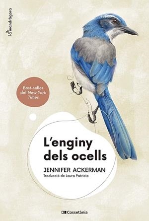 L'ENGINY DELS OCELLS | 9788413562544 | ACKERMAN, JENNIFER | Galatea Llibres | Librería online de Reus, Tarragona | Comprar libros en catalán y castellano online