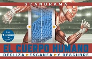 SCANORAMA. EL CUERPO HUMANO | 9788469667620 | CLAYBOURNE, ANNA | Galatea Llibres | Llibreria online de Reus, Tarragona | Comprar llibres en català i castellà online
