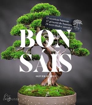 BONSÁIS | 9788419436610 | SAMSON, RÉMY/SAMSON, ISABELLE | Galatea Llibres | Llibreria online de Reus, Tarragona | Comprar llibres en català i castellà online