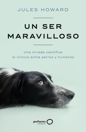 UN SER MARAVILLOSO | 9788408269328 | HOWARD, JULES | Galatea Llibres | Llibreria online de Reus, Tarragona | Comprar llibres en català i castellà online