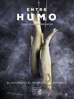 ENTRE HUMO | 9788408271048 | BENAYAS, JUAN MANUEL | Galatea Llibres | Librería online de Reus, Tarragona | Comprar libros en catalán y castellano online