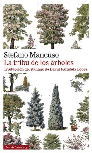 LA TRIBU DE LOS ÁRBOLES | 9788419392510 | MANCUSO, STEFANO | Galatea Llibres | Llibreria online de Reus, Tarragona | Comprar llibres en català i castellà online