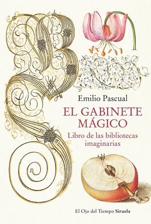 EL GABINETE MÁGICO | 9788419553041 | PASCUAL, EMILIO | Galatea Llibres | Librería online de Reus, Tarragona | Comprar libros en catalán y castellano online