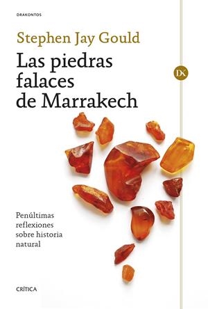 LAS PIEDRAS FALACES DE MARRAKECH | 9788491995180 | GOULD, STEPHEN JAY | Galatea Llibres | Llibreria online de Reus, Tarragona | Comprar llibres en català i castellà online