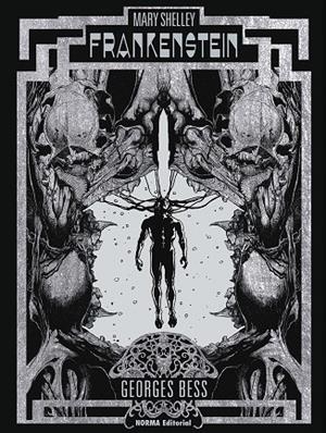 FRANKENSTEIN | 9788467961782 | BESS, GEORGE/MARY SHELLEY | Galatea Llibres | Llibreria online de Reus, Tarragona | Comprar llibres en català i castellà online