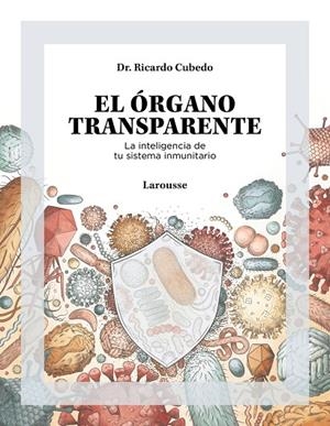 EL ÓRGANO TRANSPARENTE. LA INTELIGENCIA DE TU SISTEMA INMUNITARIO | 9788419250506 | CUBEDO, RICARDO | Galatea Llibres | Librería online de Reus, Tarragona | Comprar libros en catalán y castellano online