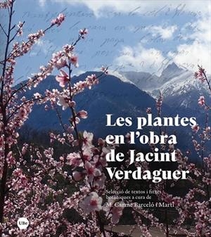 LES PLANTES EN L’OBRA DE JACINT VERDAGUER | 9788447540792 | BARCELÓ I MARTÍ, MARIA CARME | Galatea Llibres | Llibreria online de Reus, Tarragona | Comprar llibres en català i castellà online