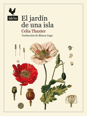 EL JARDÍN DE UNA ISLA | 9788419168139 | THAXTER, CELIA | Galatea Llibres | Llibreria online de Reus, Tarragona | Comprar llibres en català i castellà online