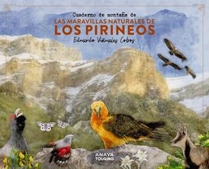 CUADERNO DE MONTAÑA DE LAS MARAVILLAS NATURALES DE LOS PIRINEOS | 9788491586036 | VIÑUALES COBOS, EDUARDO | Galatea Llibres | Llibreria online de Reus, Tarragona | Comprar llibres en català i castellà online
