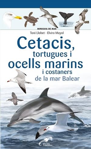 CETACIS, TORTUGUES I OCELLS MARINS I COSTANERS DE LA MAR BALEAR | 9788413562735 | MAYOL, ELVIRA | Galatea Llibres | Llibreria online de Reus, Tarragona | Comprar llibres en català i castellà online