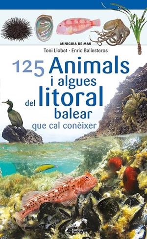 125 ANIMALS I ALGUES DEL LITORAL BALEAR QUE CAL CONÈIXER | 9788413562704 | BALLESTEROS SAGARRA, ENRIC | Galatea Llibres | Llibreria online de Reus, Tarragona | Comprar llibres en català i castellà online
