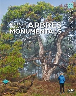 RUTES PER DESCOBRIR ARBRES MONUMENTALS | 9788482168197 | BARBA, CESAR | Galatea Llibres | Llibreria online de Reus, Tarragona | Comprar llibres en català i castellà online