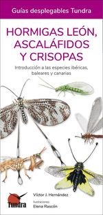 HORMIGAS LEON, ASCALAFIDOS Y CRISOPAS | 9788418458507 | HERNANDEZ, VICTOR J. | Galatea Llibres | Librería online de Reus, Tarragona | Comprar libros en catalán y castellano online