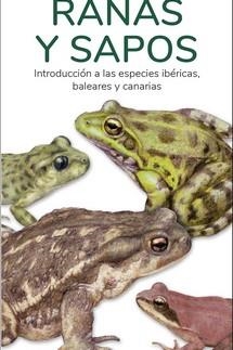 RANAS Y SAPOS - GUIAS DESPLEGABLES TUNDRA | 9788419624109 | HERNANDEZ, VICTOR J. | Galatea Llibres | Librería online de Reus, Tarragona | Comprar libros en catalán y castellano online