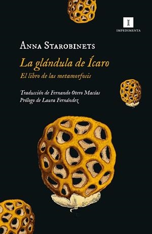 LA GLÁNDULA DE ÍCARO | 9788419581020 | STAROBINETS, ANNA | Galatea Llibres | Llibreria online de Reus, Tarragona | Comprar llibres en català i castellà online