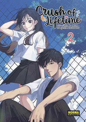 CRUSH OF LIFETIME 2 | 9788467958171 | JEONG, HALIM/KIM, YEONWOO | Galatea Llibres | Librería online de Reus, Tarragona | Comprar libros en catalán y castellano online