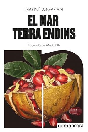 EL MAR TERRA ENDINS | 9788419590343 | ABGARIAN, NARINÉ | Galatea Llibres | Librería online de Reus, Tarragona | Comprar libros en catalán y castellano online