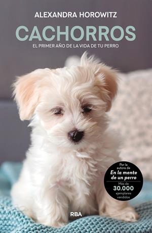 CACHORROS EL PRIMER AÑO DE LA VIDA DE TU PERRO | 9788411321099 | HOROWITZ, ALEXANDRA | Galatea Llibres | Librería online de Reus, Tarragona | Comprar libros en catalán y castellano online