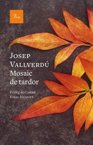 MOSAIC DE TARDOR | 9788419657244 | VALLVERDÚ AIXALÀ, JOSEP | Galatea Llibres | Llibreria online de Reus, Tarragona | Comprar llibres en català i castellà online