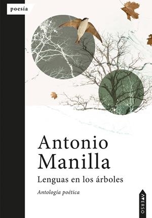 LENGUAS EN LOS ÁRBOLES | 9788412664058 | MANILLA, ANTONIO | Galatea Llibres | Llibreria online de Reus, Tarragona | Comprar llibres en català i castellà online