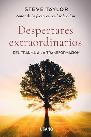 DESPERTARES EXTRAORDINARIOS | 9788418714061 | TAYLOR, STEVE | Galatea Llibres | Llibreria online de Reus, Tarragona | Comprar llibres en català i castellà online
