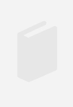 SISTEMAS DE BIG DATA | 9788419857187 | LÓPEZ FANDIÑO, VICTOR | Galatea Llibres | Llibreria online de Reus, Tarragona | Comprar llibres en català i castellà online