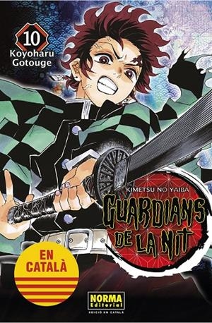 GUARDIANS DE LA NIT 10 | 9788467958560 | GOTOUGE, KOYOHARU | Galatea Llibres | Llibreria online de Reus, Tarragona | Comprar llibres en català i castellà online