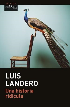UNA HISTORIA RIDÍCULA | 9788411073288 | LANDERO, LUIS | Galatea Llibres | Llibreria online de Reus, Tarragona | Comprar llibres en català i castellà online