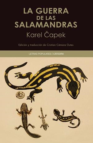 LA GUERRA DE LAS SALAMANDRAS | 9788437646466 | CAPEK, KAREL | Galatea Llibres | Llibreria online de Reus, Tarragona | Comprar llibres en català i castellà online