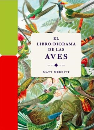 EL LIBRO-DIORAMA DE LAS AVES | 9788412712209 | MERRITT, MATT | Galatea Llibres | Llibreria online de Reus, Tarragona | Comprar llibres en català i castellà online