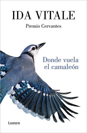 DONDE VUELA EL CAMALEÓN | 9788426416926 | VITALE, IDA | Galatea Llibres | Llibreria online de Reus, Tarragona | Comprar llibres en català i castellà online