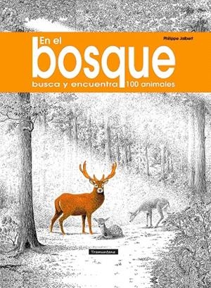 EN EL BOSQUE | 9788418520556 | Galatea Llibres | Librería online de Reus, Tarragona | Comprar libros en catalán y castellano online