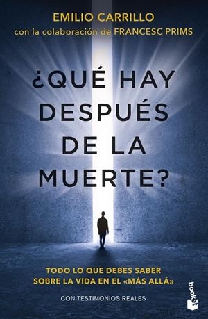 QUÉ HAY DESPUÉS DE LA MUERTE? | 9788427051881 | CARRILLO BENITO, EMILIO/PRIMS TERRADAS, FRANCESC | Galatea Llibres | Librería online de Reus, Tarragona | Comprar libros en catalán y castellano online