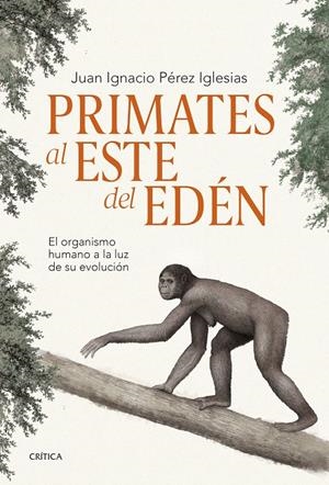 PRIMATES AL ESTE DEL EDÉN | 9788491995869 | PÉREZ IGLESIAS, JUAN IGNACIO | Galatea Llibres | Librería online de Reus, Tarragona | Comprar libros en catalán y castellano online