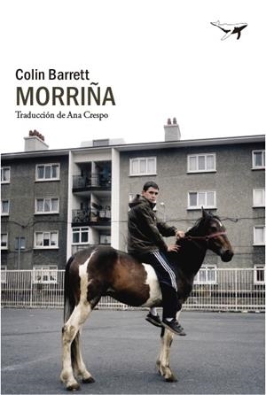 MORRIÑA | 9788412619423 | BARRETT, COLIN | Galatea Llibres | Llibreria online de Reus, Tarragona | Comprar llibres en català i castellà online