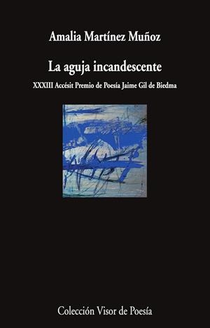 LA AGUJA INCANDESCENTE | 9788498955095 | MARTÍNEZ MUÑOZ, AMALIA | Galatea Llibres | Llibreria online de Reus, Tarragona | Comprar llibres en català i castellà online