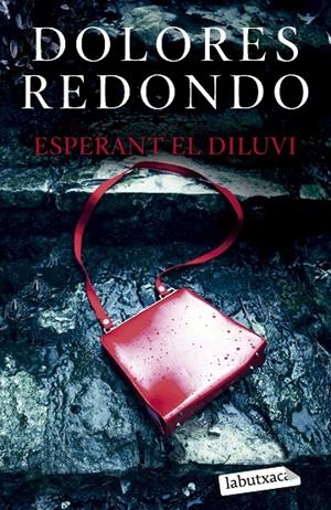ESPERANT EL DILUVI | 9788419107961 | REDONDO, DOLORES | Galatea Llibres | Llibreria online de Reus, Tarragona | Comprar llibres en català i castellà online